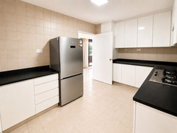 The Cairnhill (D9), Condominium #578507821